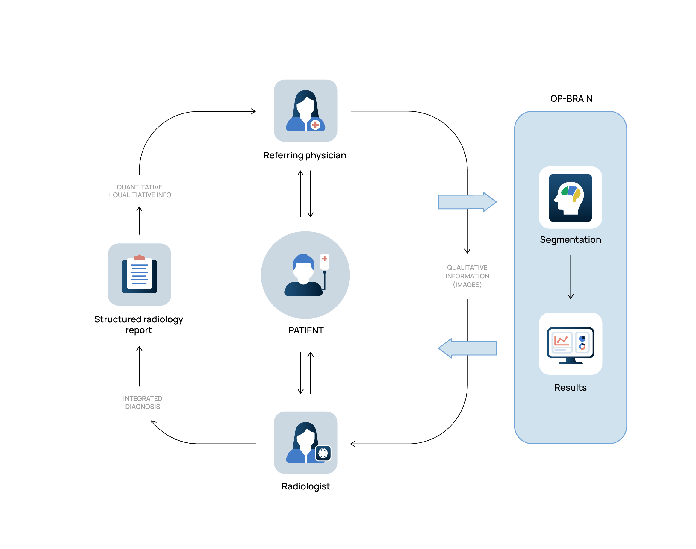 QP-Brain_Diagram